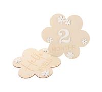 Beaupretty 2pcs Milestone Announcement Signs Wooden Newborn Name Discs for Nursery Decor and Photoshoots Elegant Floral Set for Monthly Growth Recording and Newborn Birth Celebration