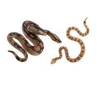 Beaupretty 2pcs Realistic Fake Snake Lifelike Snake Models for Party Pranks April Fool Day Educational Props with Detailed Textures and Bright Colors