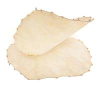 Beaupretty 2pcs Synthetic Leather Drum Heads for Drum Kit Resistant to Impact and Improve Overtone and Percussionists