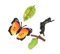 Beaupretty 3 Sets Butterfly Life Cycle Models Educational Simulation for Cognitive Development Figures Safe Lightweight for Learning