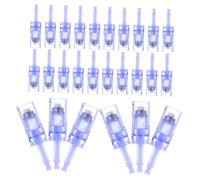 Beaupretty 30pcs Microneedle Pen Replacement Heads Electric Needles for Skin Care High Frequency Vibration Advanced Penetration for Improved Skin Vitality Suitable for Home Salon Use