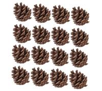 Beaupretty 30Pcs Natural Pine Cones Rustic DIY Christmas Tree Decorations for Wreath Making Holiday Home Decor Seasonal Craft Supplies