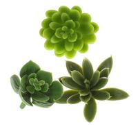 Beaupretty 3pcs Artificial Succulent Cuttings for Flowerpots, Lifelike Plastic Succulent Twig Decor Vivid Green Colour, Indoor Potted Landscape Ornament for Home, Office, Party, and Arts