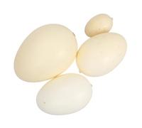 Beaupretty 4pcs Bird Eggs Model Assorted and Speckled Patterns Lightweight Simulation Eggs for Painting Practice and Educational Play