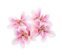 Beaupretty 4pcs Double Orchid Flower Hair Clips Bohemian Hair Accessories for Brides Lightweight Floral Pins for Summer Vacations and Beach Parties Realistic Petal Embellishments