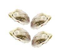 Beaupretty 4pcs Lifelike Oyster Models for Pretend Play Food Realistic Seafood Props for Kitchen Simulation Display for Restaurant Home Photography