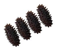 Beaupretty 4pcs Mini Artificial Sea Cucumber Model PVC Lifelike Seafood Display Prop for Educational Market Photo Shoot Home Decoration