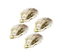 Beaupretty 4pcs Realistic Artificial Oyster Seafood Photo Props Lightweight Shellfish Display for Kitchen Play Food and Market Decor
