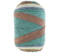 Beaupretty 5-Strand Rainbow Cotton DIY Knitting Cord, Soft Braided Yarn for Handmade Dolls, Pillows, and Blankets, 35 Gold Autumn Poem Color, Macrame Craft String for Sewing and Weaving