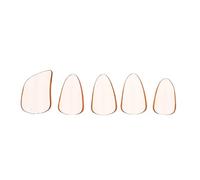 Beaupretty 5pcs Guzheng Nail Clips Fake Nail Tips Long Sticks for String Instrument Playing Finger Picks Orange Medium