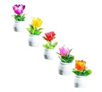 Beaupretty 5pcs Miniature Flower Pots High Simulation Tiny Dollhouse Plant Ornaments for Garden Decor Friendly Miniature Flowerpot Accessories