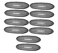 Beaupretty 5sets Hair Bun Makers Women's Hair Curler Donut Makers Styling Accessories Braiding Tools Bun Wrap 2pcs*5