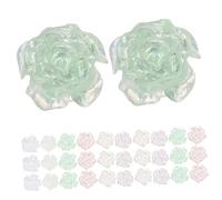 Beaupretty 60pcs Camellia Rose Nail Flowers for Nails DIY Manicure Decorations for Women