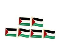 Beaupretty 6Pcs Palestine Flag Brooches Metal Pin Durable Lapel Badges for Clothing Hats Bags Unique National Flag Design for Casual Special Events Aesthetic Accessories