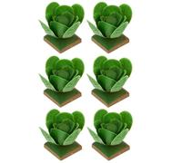 Beaupretty 6Pcs Veg Cabbage Model for DIY Playthings Lightweight Decorative Sand Table Accessories for Imaginative Play Educational for Boys