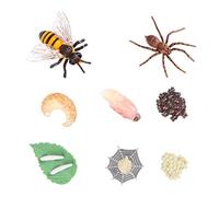Beaupretty 8Pcs Animal Growth Model Simulation Ornaments Educational Supplies for Realistic Bee and Spider Life Cycle Figures Inspiring Imagination and Learning