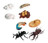 Beaupretty 8pcs Realistic Worker Ant Growth Cycle Models Educational Simulation for Childrens Cognitive Learning and Nature Exploration Decor