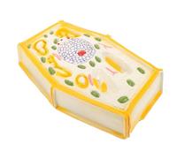 Beaupretty Anatomical Plant Cell Model for Biological Teaching School Supplies Educational Aid Magnified Structure Display Visual Representation Color for Middle School Biology Education