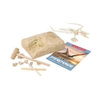 Beaupretty Archaeology Digging Dinosaur Pterodactyl Excavation Kit Educational STEM Digging Plaything for Intellectual Development