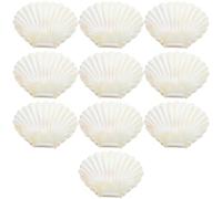 Beaupretty Candy Boxes Plastic Shell-shaped 10pcs with Vacuum Plating Technology White Decorative Shell Boxes Featuring Long Time Shine and Elegant Design for Wedding Parties and Beach Theme
