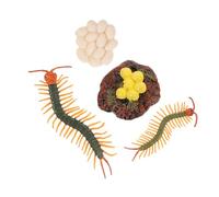 Beaupretty Centipede Life Cycle Educational Growth Cycle Figurines for Preschool Learning Storytelling Role Playing Science Teaching Tools Stage Model Kit