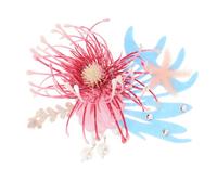 Beaupretty Cute Seashell Hair Clips for Girls Kawaii Decorative Hair Accessories for Birthday Cosplay and Everyday Wear Lightweight and Safe Material for Friends and Family
