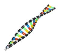 Beaupretty Dna Model Double Helix Molecular Model Kit for Science Education Removable and Easy to Build Biology Teaching Tool for High School Students and Science Learning