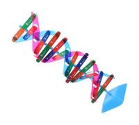 Beaupretty Dna Model Double Helix Structure Educational Kit for Middle and High School Students Science Teaching Molecular Biology Assembly DIY Science Experiment Tool for Genetics Learning