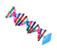 Beaupretty Dna Model Kit Double Helix Structure Science Experiment Educational Teaching Prop for Biology Students and Molecular Exploration Interactive Learning Tool