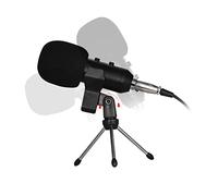 Beaupretty Durable Golden Condenser Microphone with Echo Function Mic Stand for Recording Broadcasting and Streaming for Voice Over and Sound Production