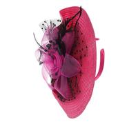 Beaupretty Elegant Fascinator Hat Black Mesh Veil Headpiece for Women for Wedding Carnival Bridal Tea Party Attire