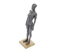 Beaupretty Female Muscle Structure Model for Artists Half Body Anatomy Reference Teaching Aid with Detailed Muscular System and Tendon Display for Art Sketch and Medical Study Random Color
