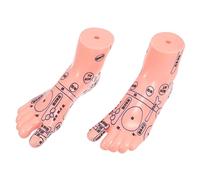 Beaupretty Foot Massage Model Teaching Aid for Physiology Nursing Medical Schools Easy to Use Human Reflexology Display Foot Trainer