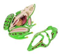 Beaupretty Frog Dissection Model Realistic Anatomy Learning Tool for Detachable Organs for Safe Educational Use Biology Class Engaging Science Experience for Students
