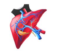 Beaupretty Halloween Heart Costume Lightweight Sponge Educational Anatomy Design for Stage Plays and Role Play Party Outfit Comfortable Easy Care