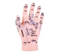 Beaupretty Hand Acupuncture Model PVC Hand Reflexology Training Aid with Labeled Acupoints for Tcm Education Clinics and Massage Centers
