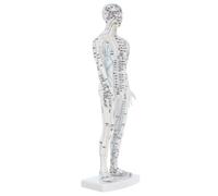 Beaupretty Human Acupuncture Model Male Full Body Meridian Display with Precise Pressure Points for Traditional Chinese Medicine Teaching and Massage Practice