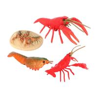 Beaupretty Lifelike Crayfish Models Educational Life Cycle Plaything for Early Learning Cognitive Biology Demonstration Kit for Crayfish Growth Understanding