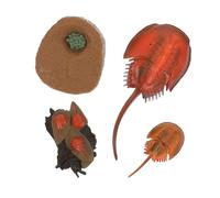 Beaupretty Mini Ocean Creature Models Set for Educational Simulation Animal for Craft Play Safe and Sturdy for Collecting and Learning About Life Cycles