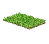 Beaupretty Miniature Artificial Grass Tuft Flower Cluster Model Railway Scenery DIY Landscape Decoration Green Yellow-green Simulation Vegetation for Dollhouse Garden