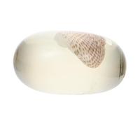 Beaupretty Moisturizing Amino Acid Cleaning Soap Jelly Shell Marine Essential Oil Soap Hydrating Body and Face Cleansing for Sensitive Skin