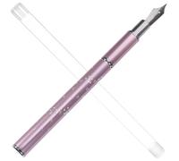 Beaupretty Painting Accessories for Home and Professional Use Nail Art Dotting Pen Set with Replacement Beads Lightweight Metal Nail Art Fountain Pen Long Handle Design for Precise