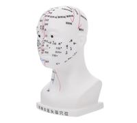 Beaupretty Professional Acupuncture Head Model for Facial Massage Acupressure Tools