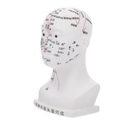 Beaupretty Professional Medical Head Acupuncture Aid for Learning Head Meridians Acupoint Structure for Educational Use Medical Studies