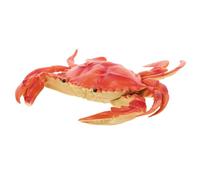 Beaupretty Realistic Crab Model Lifelike Artificial Crab Ornament for Garden Decoration and Photography Prop Creative Sea Simulation Animal Figurine with Detailed Design