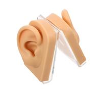 Beaupretty Realistic Ear Model Display Stand Human Ear Piercing Simulation for Earring Practice