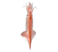 Beaupretty Realistic Fake Squid Model Distinctive Artificial Seafood Ornament for Home Decor for DIY Crafts Meticulously Crafted Compact Design