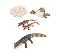 Beaupretty Realistic Growth Cycle Model for Educational Animal Figurine Plaything Enhancing Creativity and Cognition for Boys