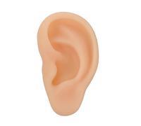 Beaupretty Silicone Ear Model Simulation Left Human Ear Model for Medical Teaching and Anatomy Learning