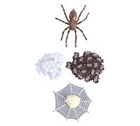 Beaupretty Simulation Spider Life Cycle Model for Realistic Animal Figurines for Educational Storytelling Party Decorations and Creative Display